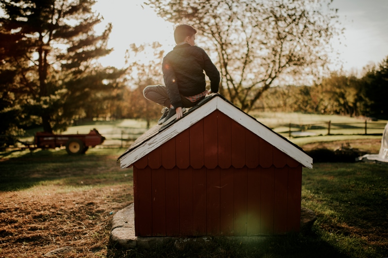 a boy is sitting on red barn during a golden hour fall family session by Bella Luna Photography in Leesburg, VA